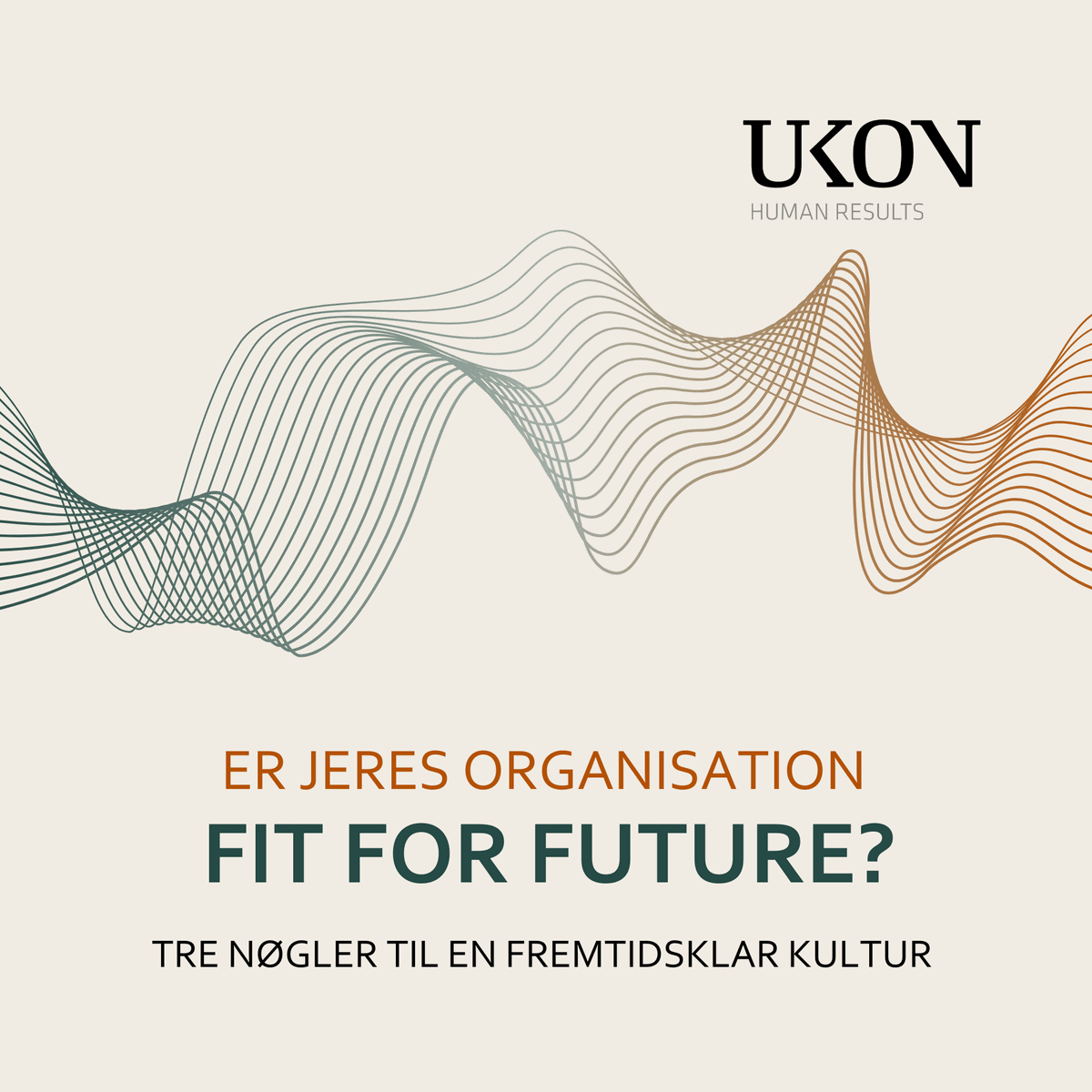 Pixi Er jeres organisation fit for future
